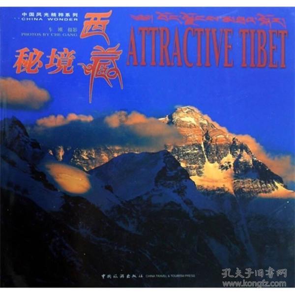 栅栏迷宫